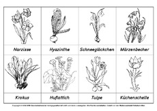 AB-Frühlingsblüher-benennen-Lösung-SW.pdf